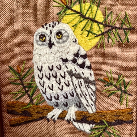 Set of 5 Vintage 1970s Owl Yarn Crewel Embroidery art (4 small 1 large) - Picture 6 of 8